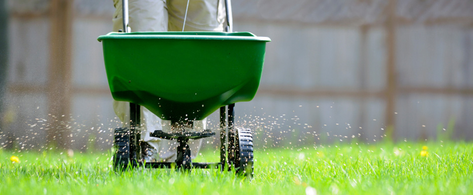 Natural GREEN Lawns | Organic Lawn Care - Based in Waxhaw, NC (28173), Natural GREEN Lawns provide organic lawn care treatments that are safer and more effective than chemical spray treatments.