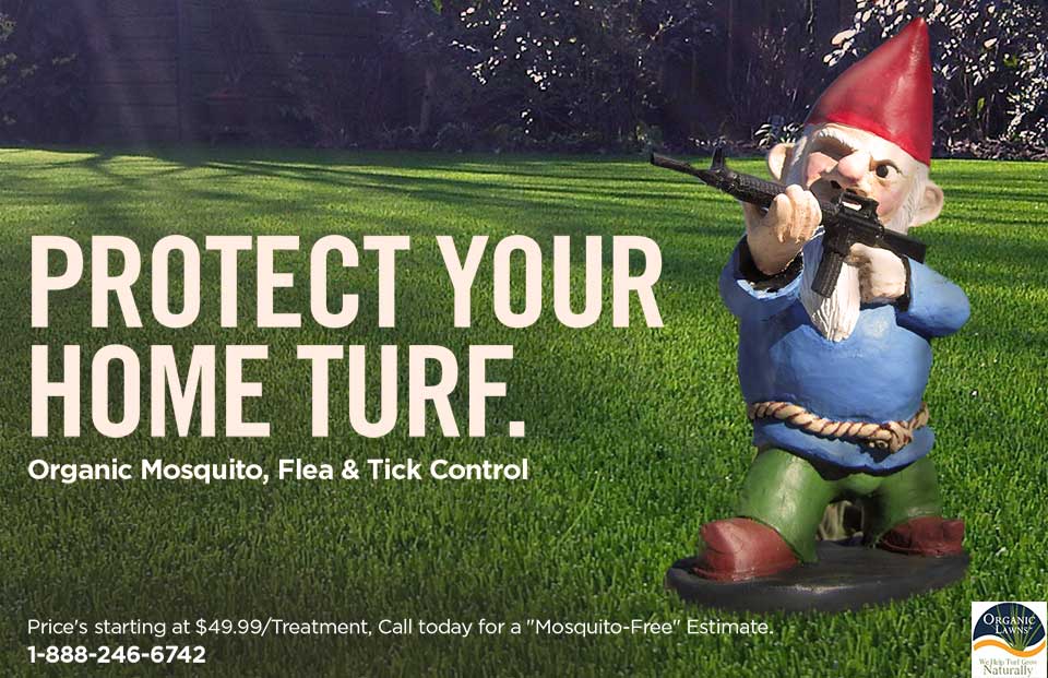 Protect Your Home Turf!